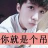 宠物宝宝的小知识故事